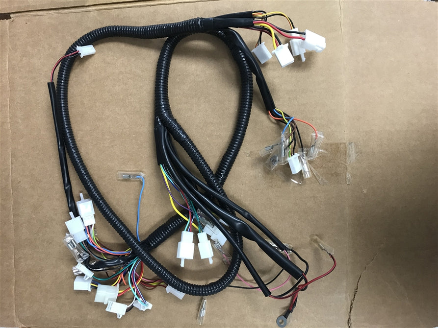 Wiring Harness for EM4