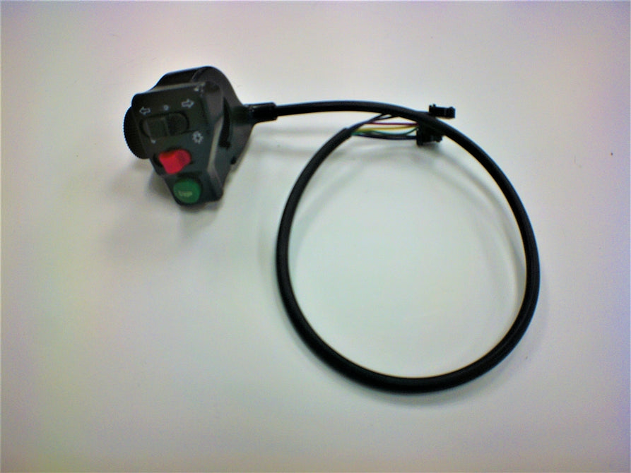 Turn signal controller for Monaco