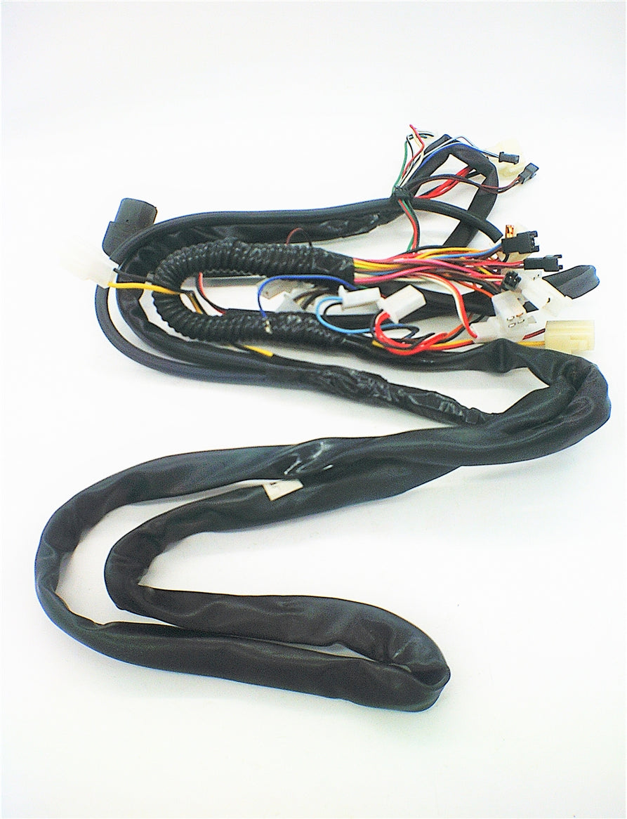 Wiring Harness for Monaco