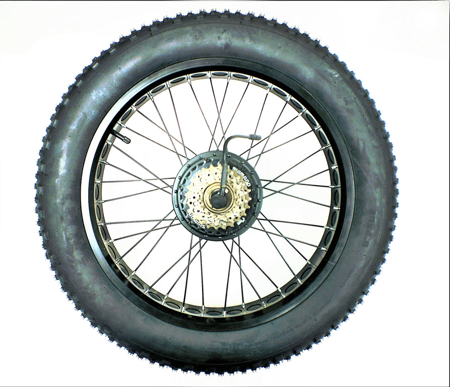 Rear wheel Assembly for Max / Max S 48v 350w