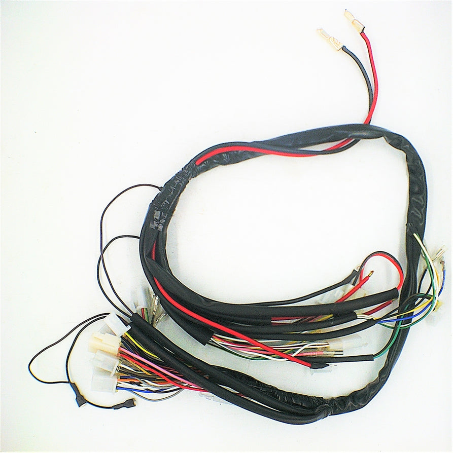 Wiring Harness for Rebel