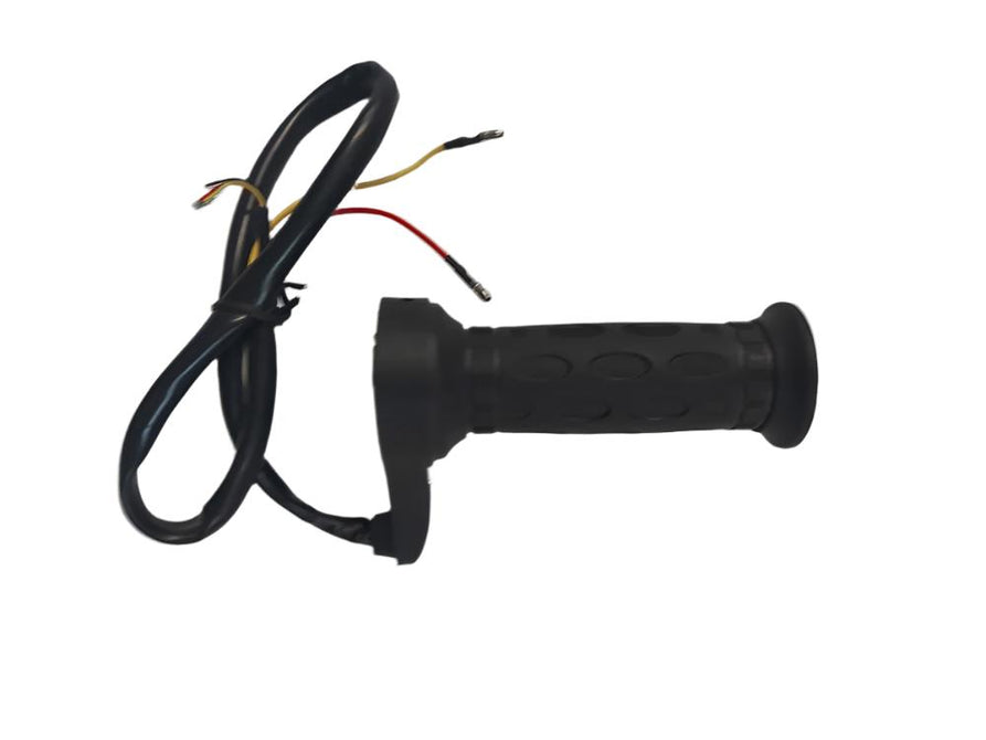 Heated Throttle For Rickshaw 24V