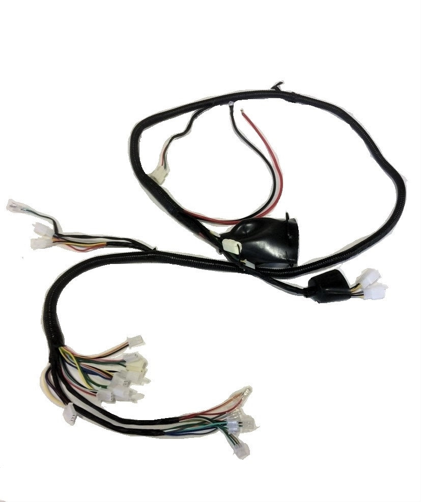 Wiring Harness for Roadstar - Type A
