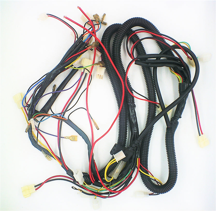 Wiring Harness for Sasquatch - A