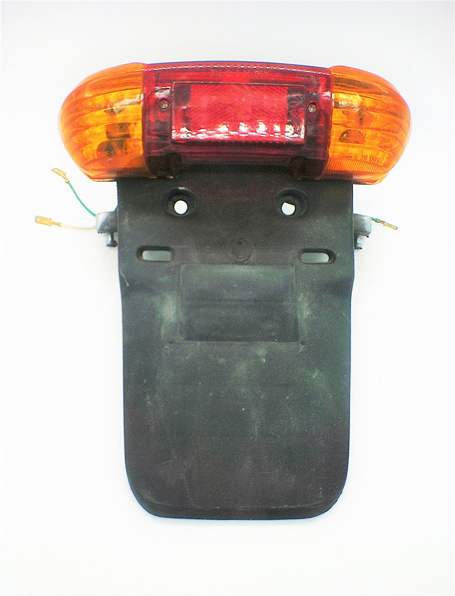 Taillight assembly for Santa