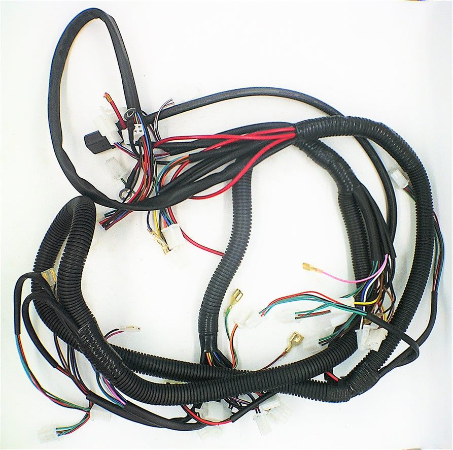 Wiring Harness for Santa - A